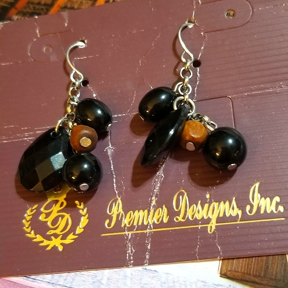 NWT Premier Designs Wood and Acrylic Bead Dangle Earrings